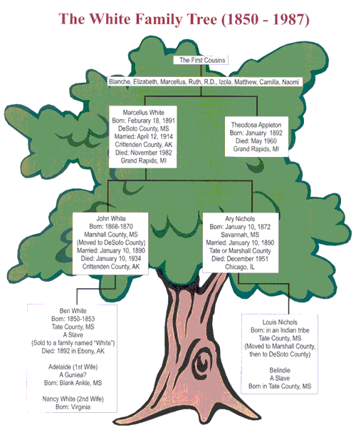 White Family Tree